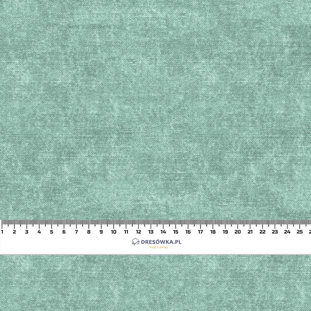 ACID WASH / MODERN MINT - HOME DECOR PREMIUM Webware