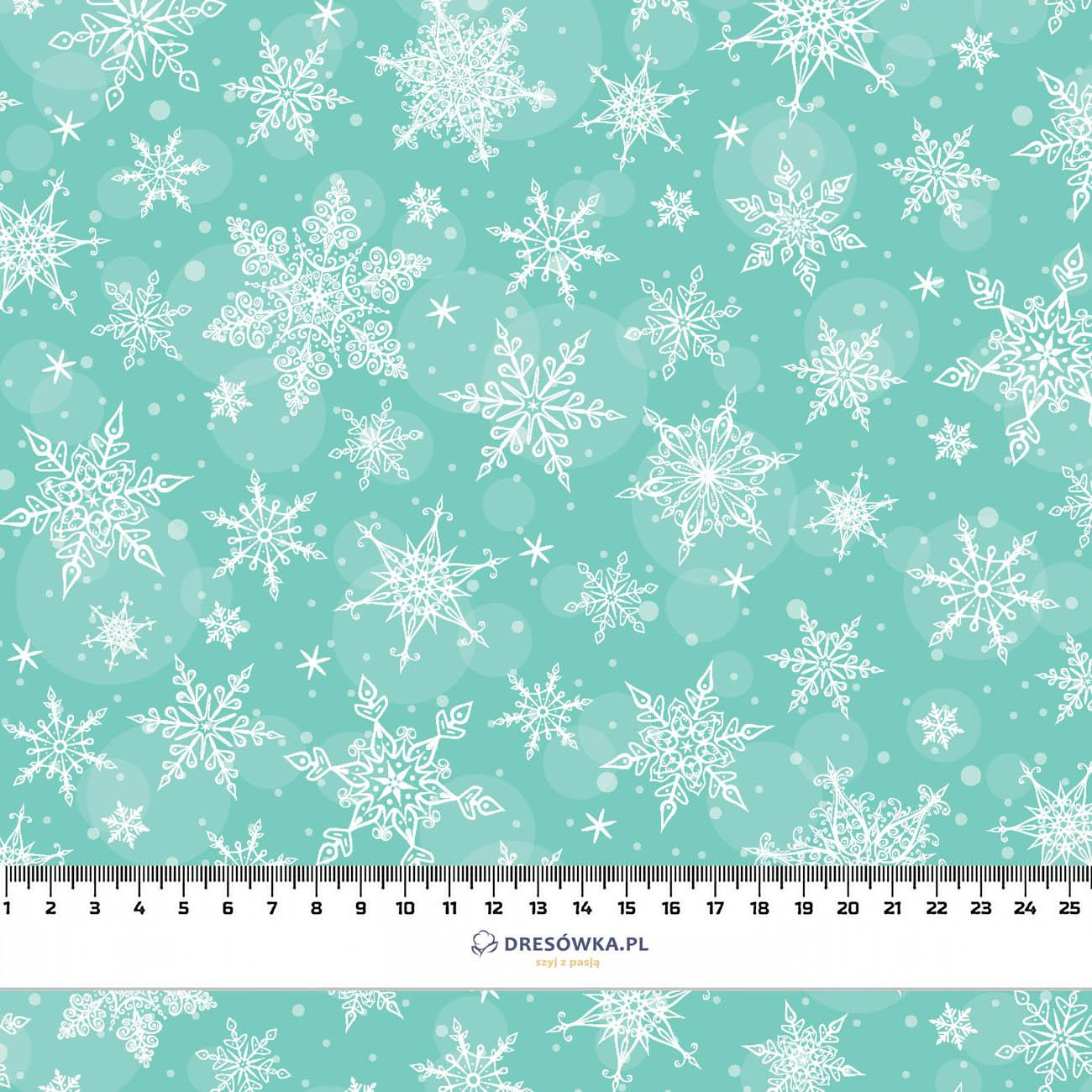 SCHNEEFLOCKEN MST. 2 / minze - Wintersweat angeraut mit Elastan ITY