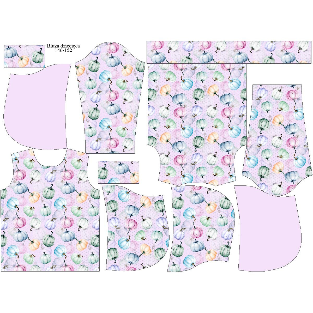 KINDER HOODIE (ALEX) - KÜRBISSE Ms 2 (KÜRBISGARTEN) - Nähset