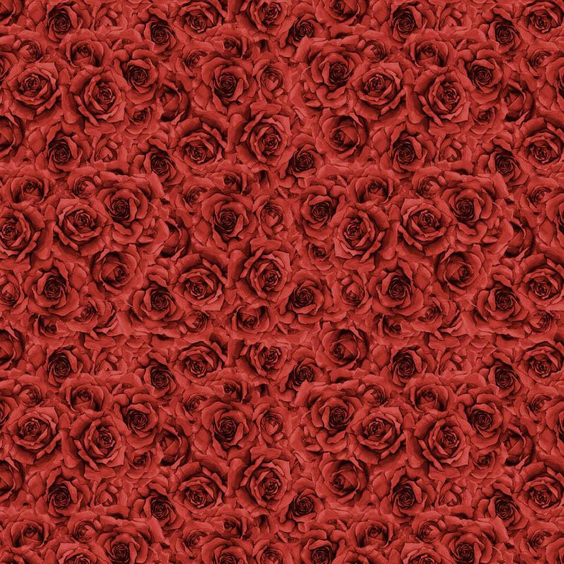 ROSEN Ms. 5 (CARO UND ROSEN)