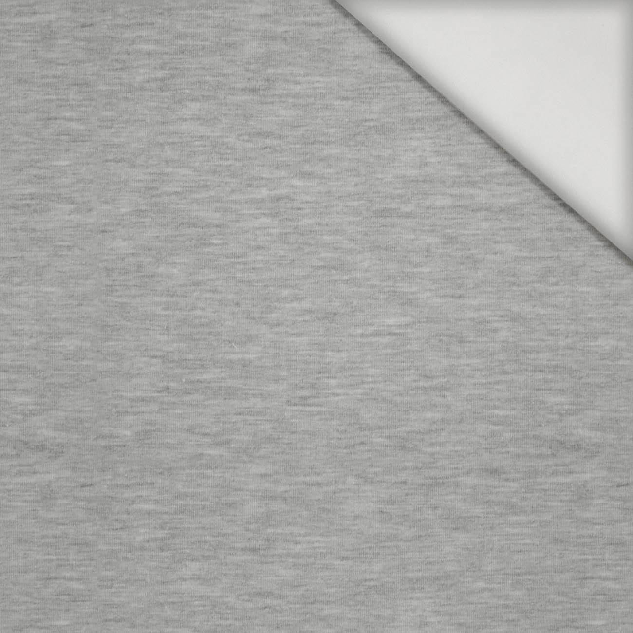 MELANGE HELLGRAU - Lycra 300g