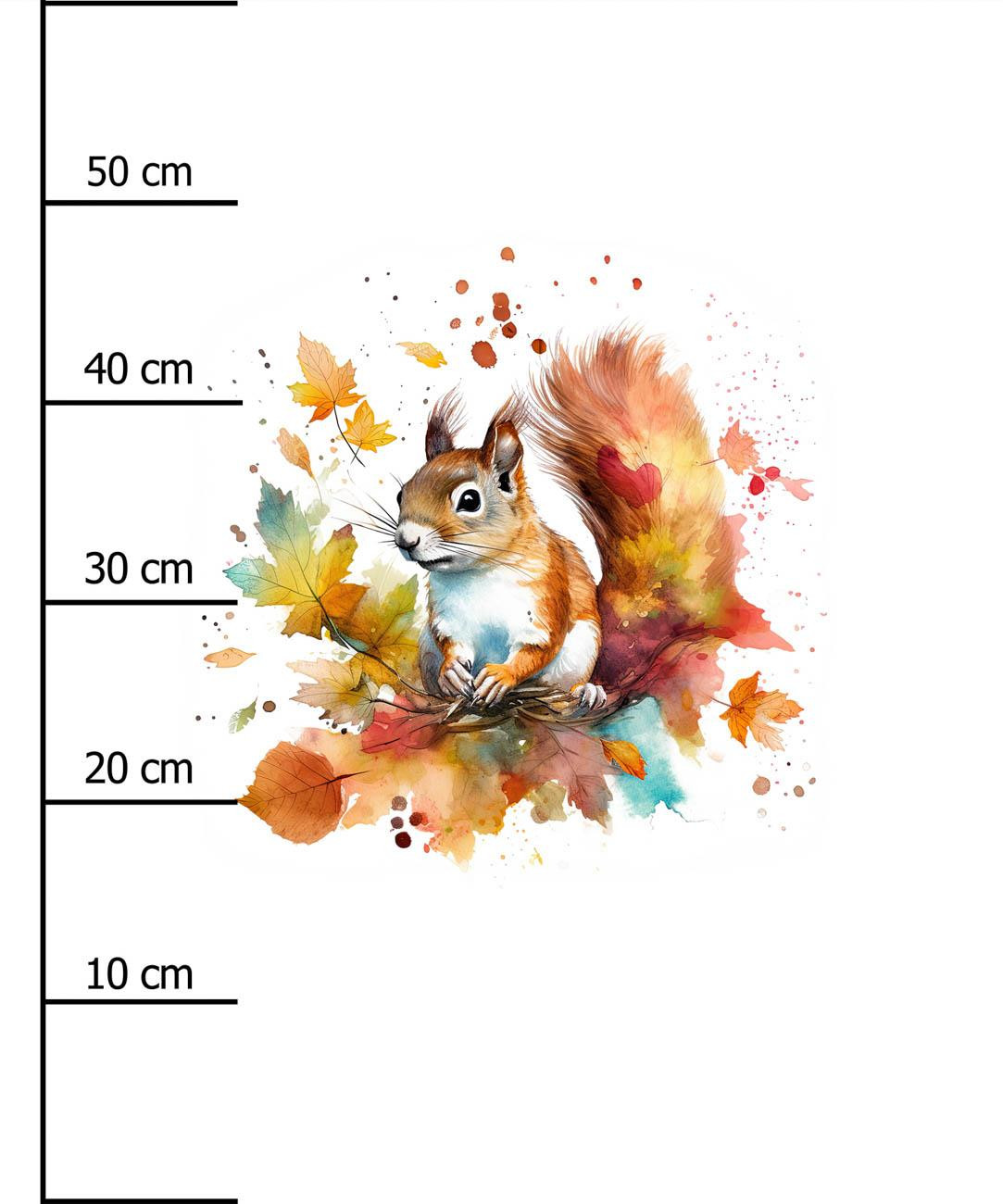 WATERCOLOR SQUIRREL - Paneel (60cm x 50cm) Wintersweat angeraut mit Elastan ITY