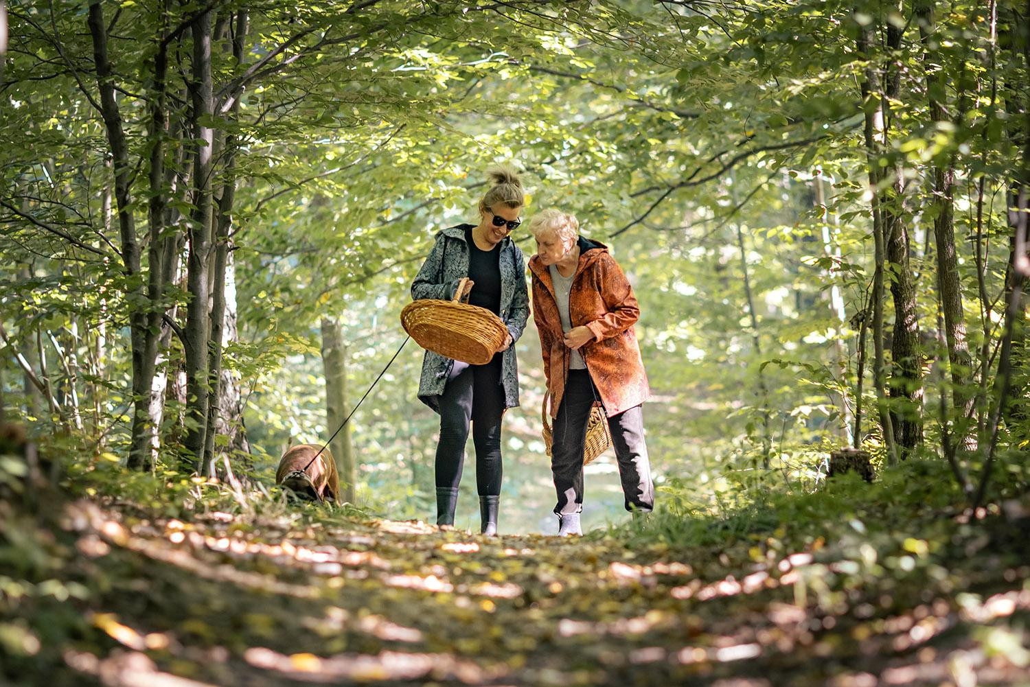 DAMENPARKA (ANNA) - WALD DREIECKEN - Nähset