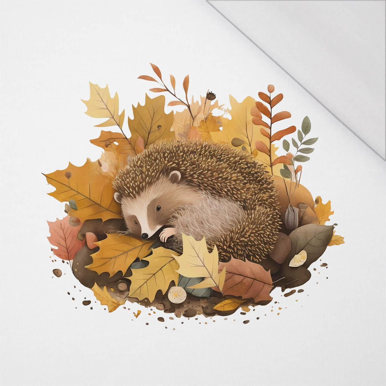 SLEEPING HEDGEHOG - Panel (75cm x 80cm) SINGLE JERSEY PANEL