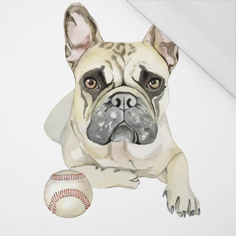 BULLDOG / beige - SINGLE JERSEY PANEL 75cm x 80cm