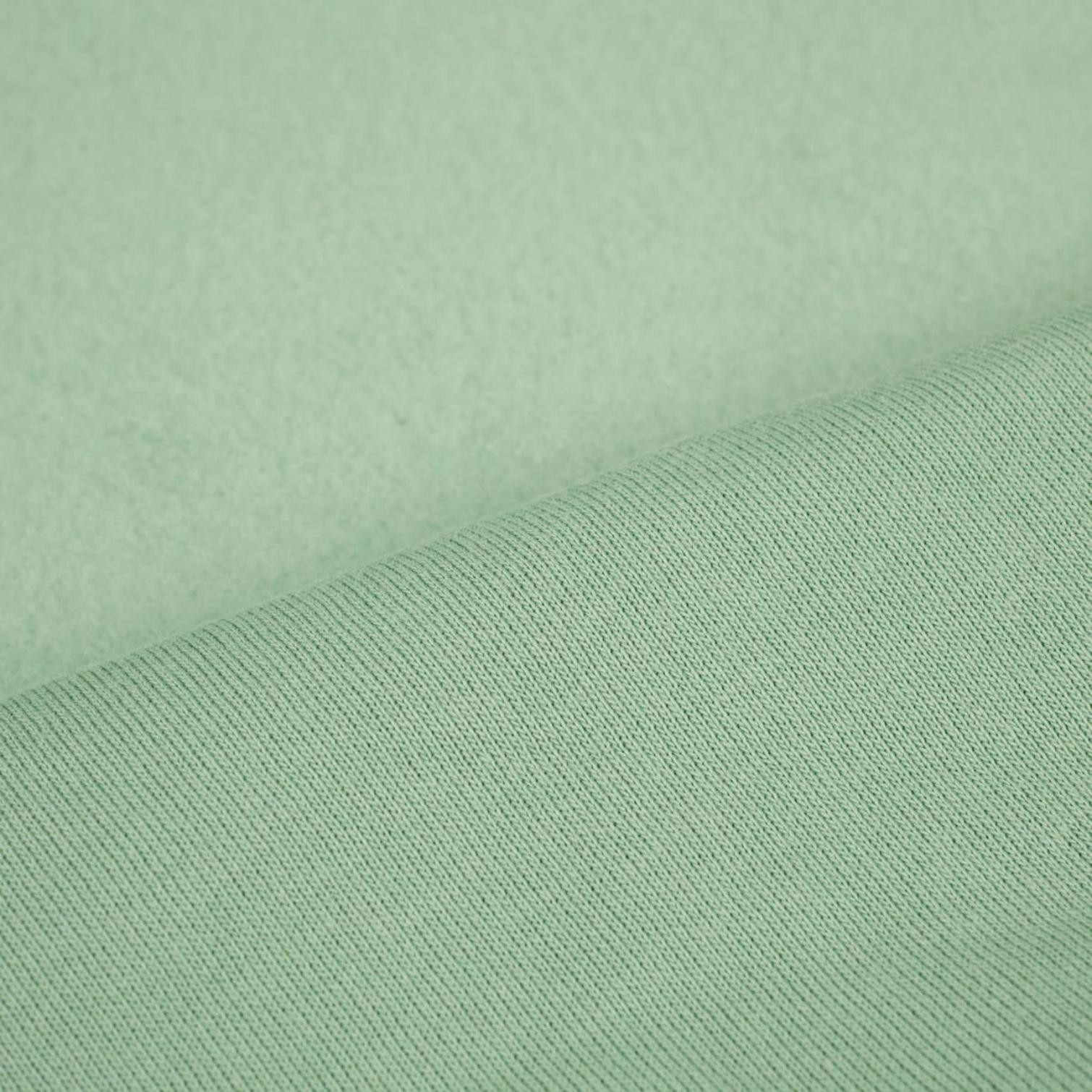 D-45 Modern Mint - Wintersweat angeraut D300
