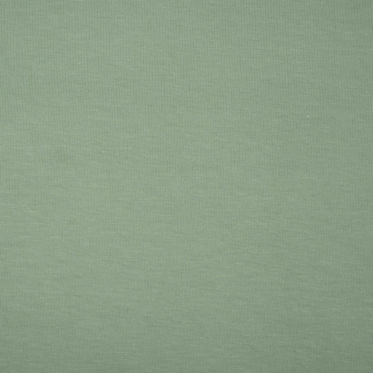 D-45 MODERN MINT - Sommersweat nicht angeraut