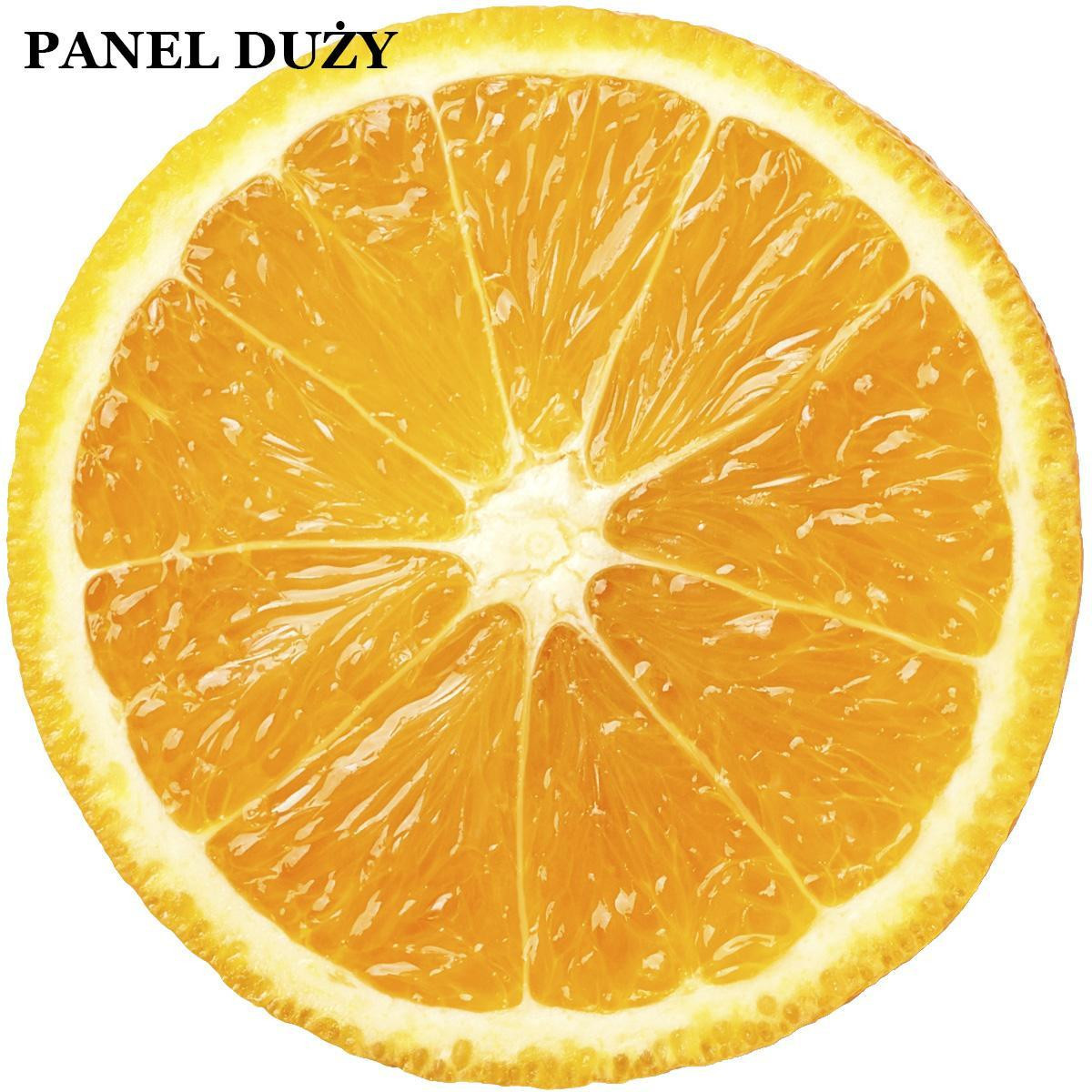 ORANGE / weiß - groß Tellerrock-Panel 
