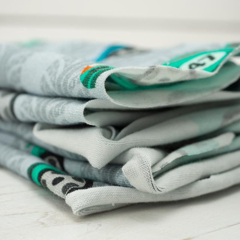 SCHNELLE SCHLITTEN / blau auf grau - bio single jerset mit Elastan TE210 Sommersweat