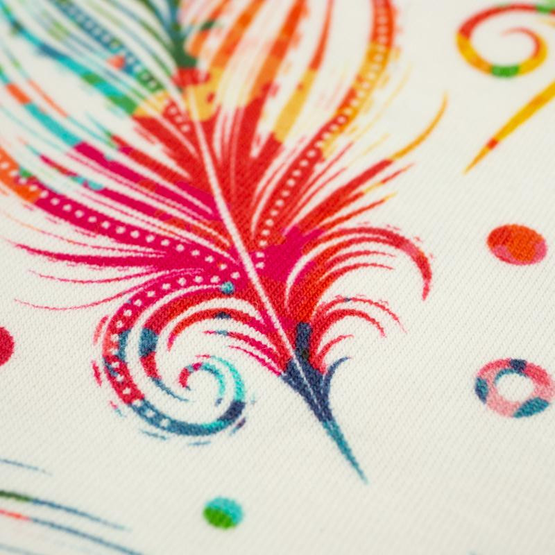 REGENBOGEN FEDERN - bio single jerset mit Elastan TE210 Sommersweat