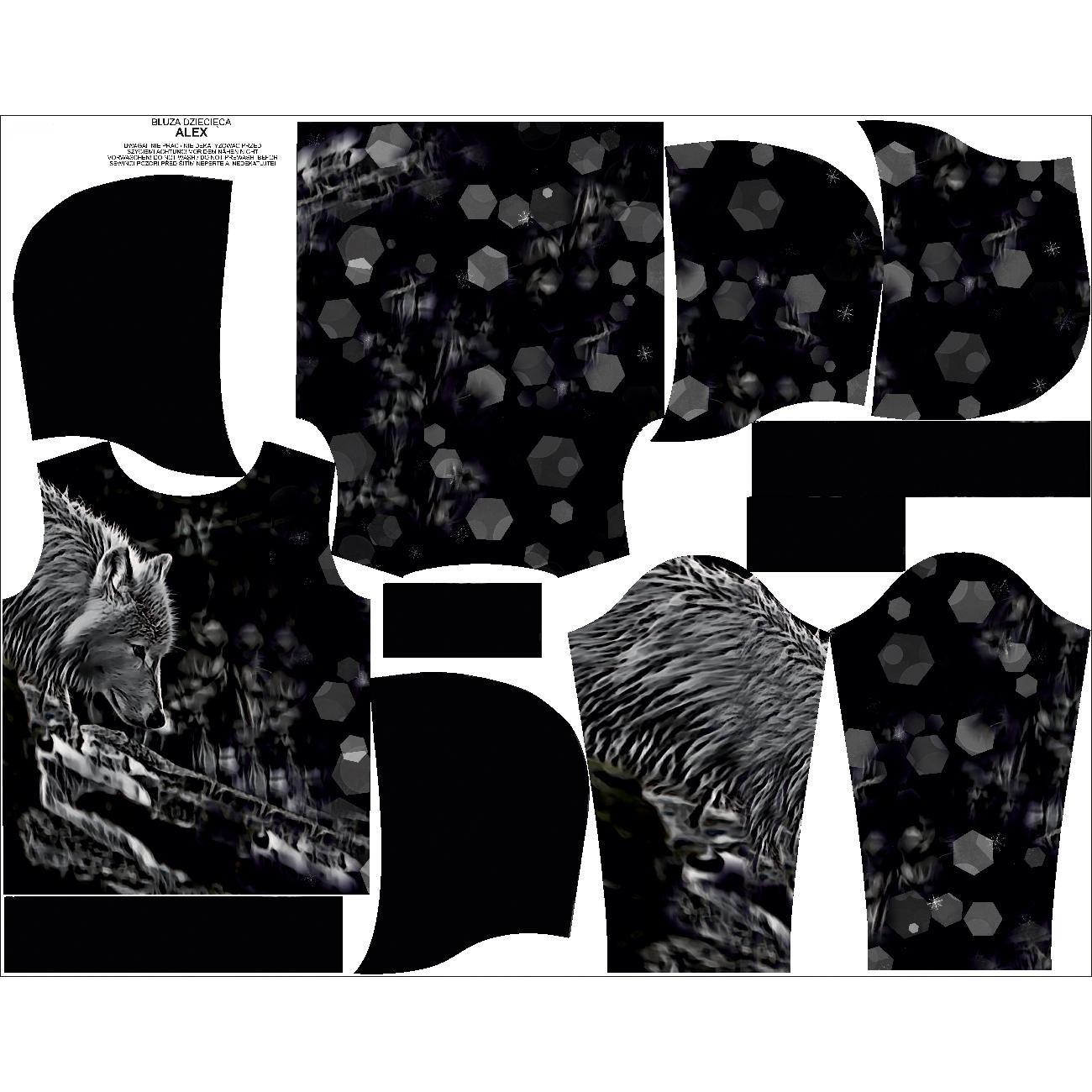 KINDER HOODIE (ALEX) - POLARWOLF - Nähset