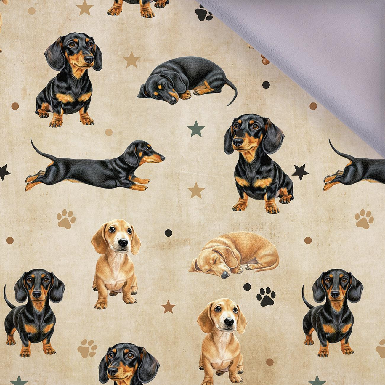 DOGS M. 2 - Softshell 