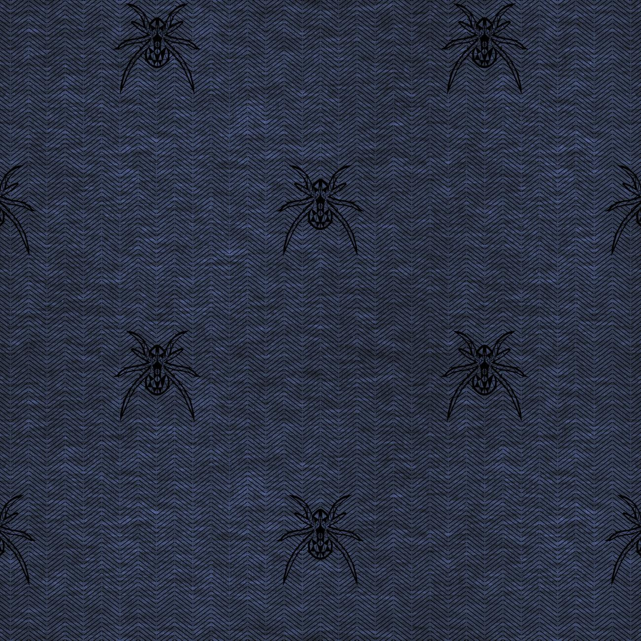 SPINNE / NACHT RUF / jeans