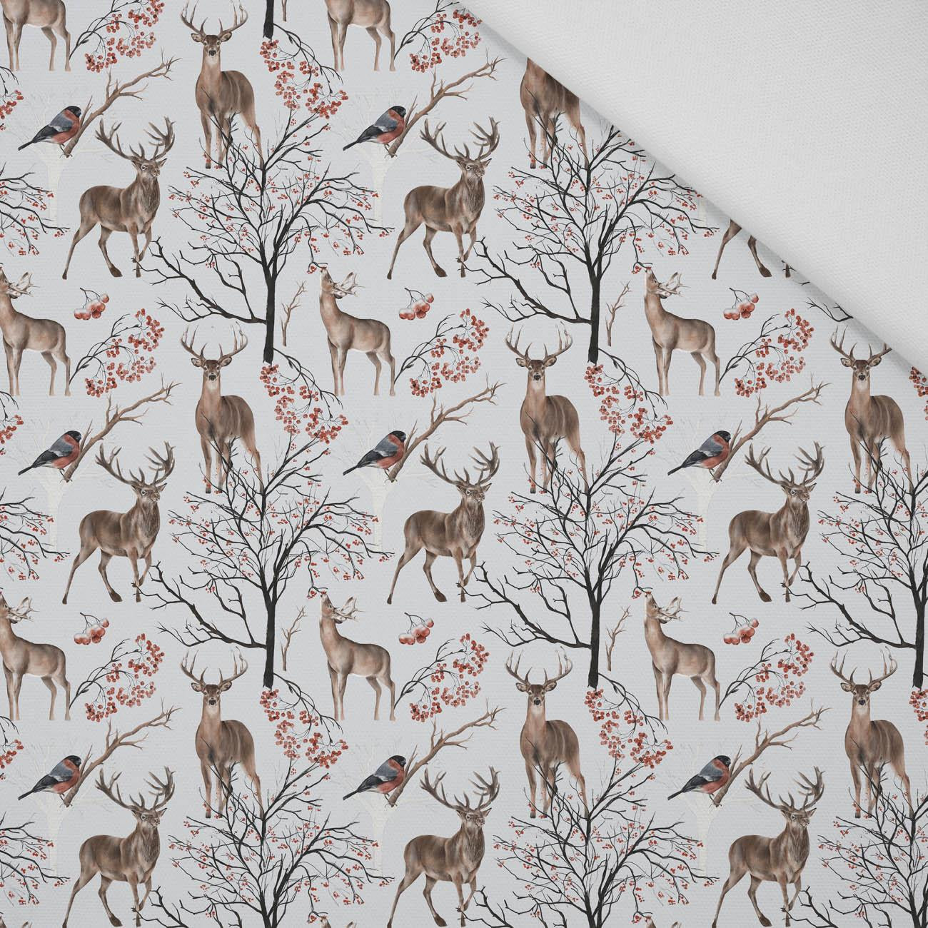 WINTERTIERE (WINTER IM PARK) - Panama 220g