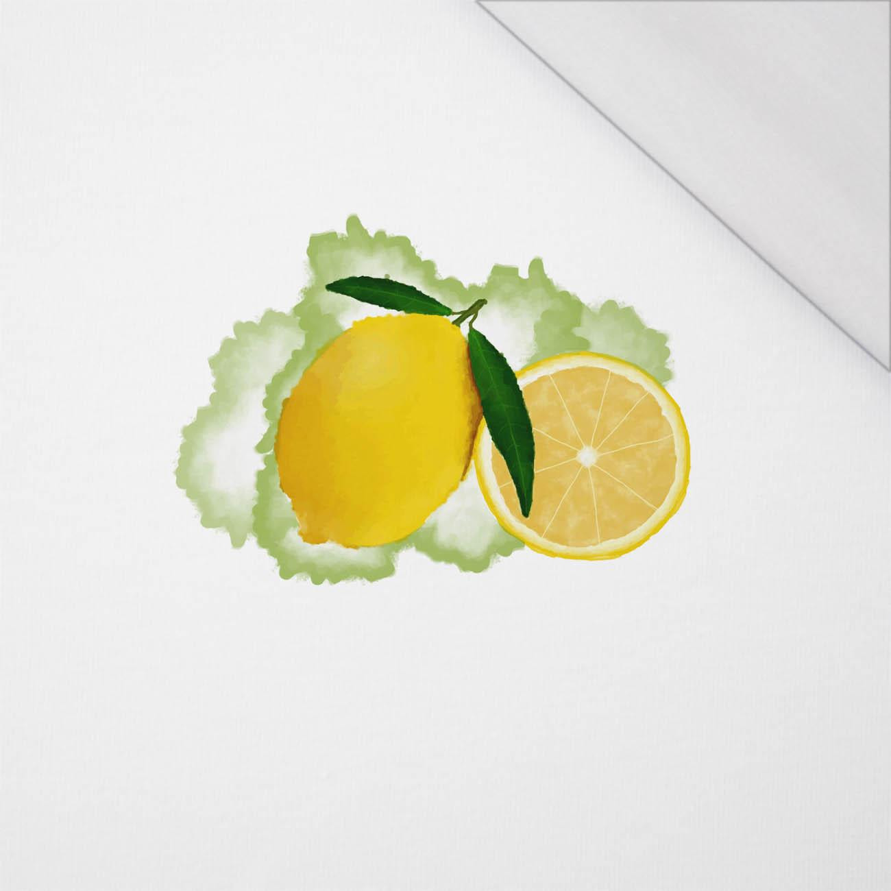 ZITRONE - Paneel (60cm x 50cm) SINGLE JERSEY 