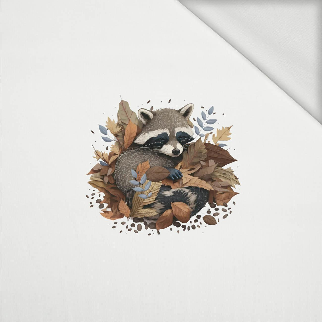 SLEEPING RACCOON - Paneel (40cm x 40cm) Bio-Sommersweat