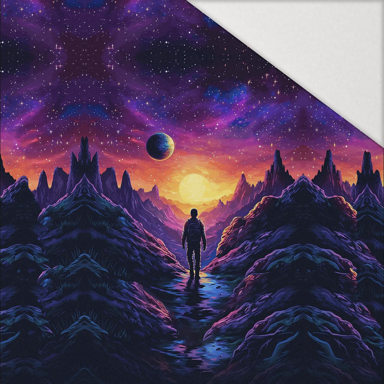 NEON GALAXY WZ.5 - Paneel (60cm x 50cm) Hydrophober angerauter Wintersweat NEON GALAXY WZ.5 - Paneel (60cm x 50cm) Hydrophober angerauter Wintersweat