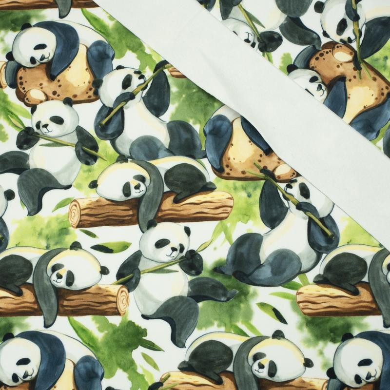 PANDAS AUF BAMBUSSEN - Softshell