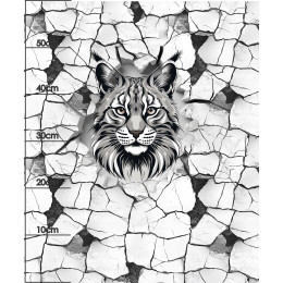 ANIMALS CRACKED wz.2 (cat) - panel (60cm x 50cm) Sommersweat