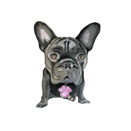 BULLDOG / schwarz - Paneel 50cm x 60cm