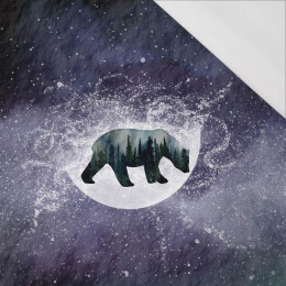 BÄR (GALAXY) - SINGLE JERSEY panoramisches Paneel (60cm x 155cm)