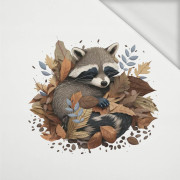 SLEEPING RACCOON - Panel (75cm x 80cm) Sommersweat