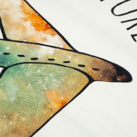 ADVENTURE TIME / galaktische Reise - Paneel Single Jersey TE210