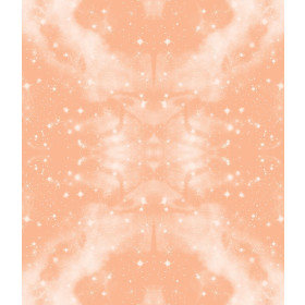 GALAXIE / peach fuzz - Baumwoll Webware