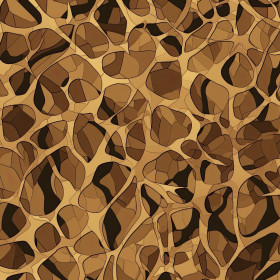 ANIMAL SKIN wz.10- Slub Weave