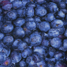 BLAUBEEREN - schnelltrocknende Webware