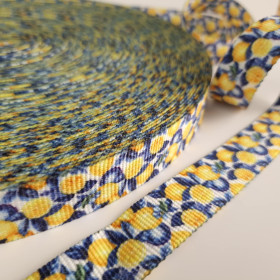 Bedrucktes Gurtband 25 mm - Tutti Frutti wz. 16