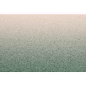 OMBRE / ACID WASH - grün (blass rosa) - Paneel, Sommersweat 