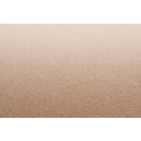 OMBRE / ACID WASH - beige (blass rosa) - Paneel, Sommersweat 