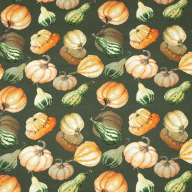 KÜRBISSE UND ZUCCHINI / olive (KÜRBISGARTEN) - Single Jersey 