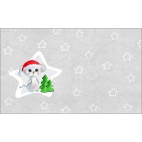 WINTERMAUS BLANKA - Baumwoll Webware Panel / Größe nach Wahl