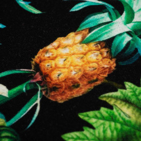 PARADIESFRÜCHTE ms. 1 (PARADIESGARTEN)  - Sommersweat