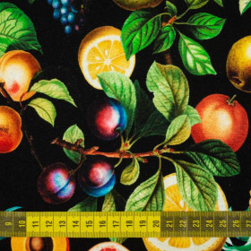 PARADIESFRÜCHTE ms. 1 (PARADIESGARTEN)  - Sommersweat