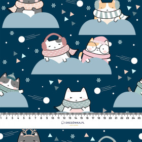 WINTER CATS WZ. 1 - leichte Maschenware angeraut