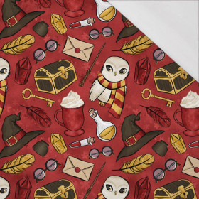 ZAUBER MIX M. 2 (ZAUBERSCHULE) / rot - bio single jerset mit Elastan Sommersweat