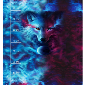 DARK ENERGY - Paneel (75cm x 80cm)