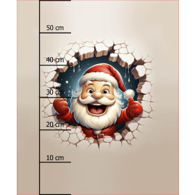 HAPPY SANTA - Paneel (60cm x 50cm)  Baumwoll Webware
