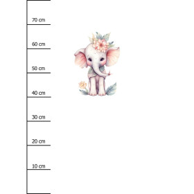 BABY ELEPHANT - Panel (75cm x 80cm) SINGLE JERSEY PANEL