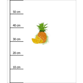 ANANAS - Paneel (60cm x 50cm)