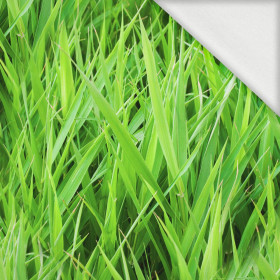 GRÜNES GRAS - Sommerswea tmit Elastan ITY