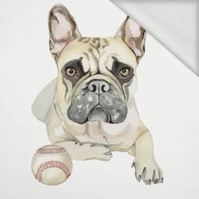 BULLDOG / beige - Paneel Sommersweat 75cm x 80cm