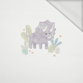 GEMALTER TRICERATOPS - Paneel (60cm x 50cm) Sommersweat