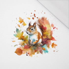 WATERCOLOR SQUIRREL - Paneel (60cm x 50cm) SINGLE JERSEY 