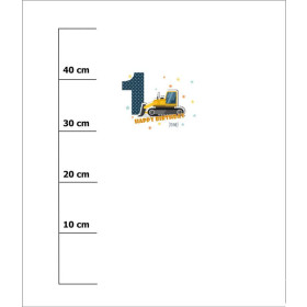 1. GEBURTSTAG / BULLDOZER - Panel