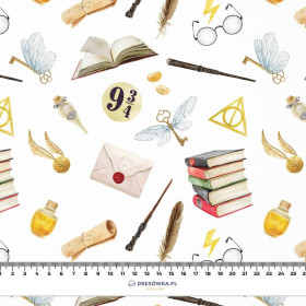 MAGISCHE WELT M.1 (ZAUBERSCHULE) - HOME DECOR PREMIUM Webware