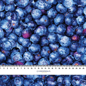 BLAUBEEREN- Single Jersey mit Elastan